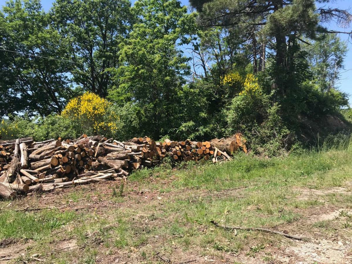 Antica Dimora Di Laura Daire Barberino di Mugello Dış mekan fotoğraf