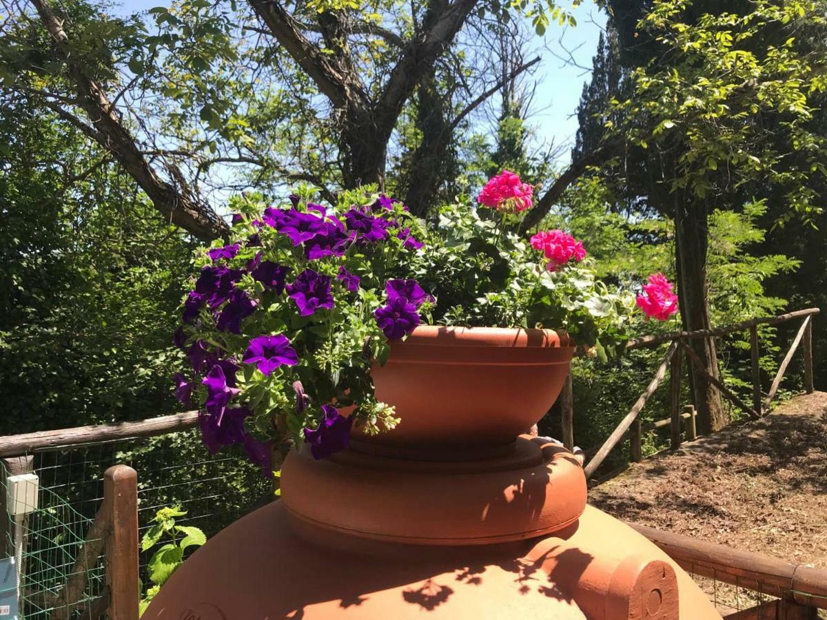 Antica Dimora Di Laura Daire Barberino di Mugello Dış mekan fotoğraf