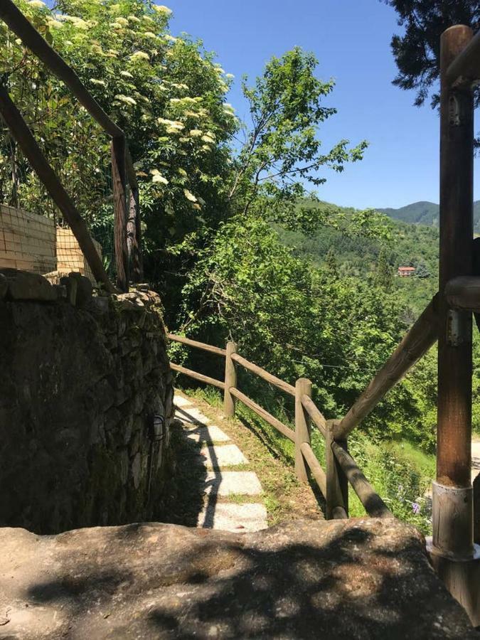 Antica Dimora Di Laura Daire Barberino di Mugello Dış mekan fotoğraf