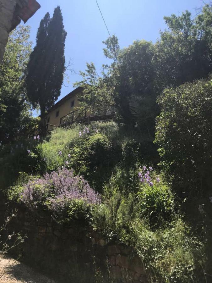 Antica Dimora Di Laura Daire Barberino di Mugello Dış mekan fotoğraf
