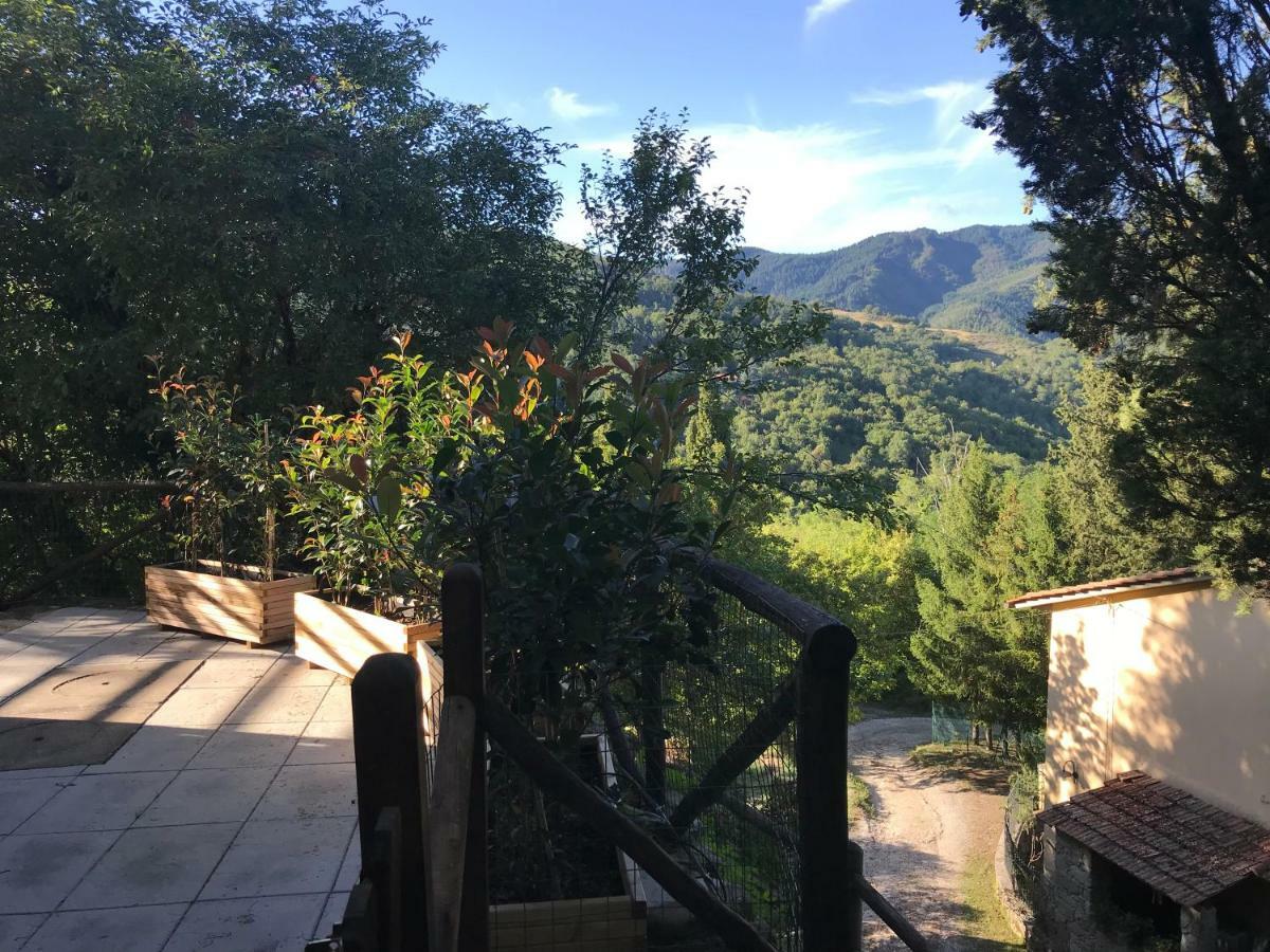 Antica Dimora Di Laura Daire Barberino di Mugello Dış mekan fotoğraf